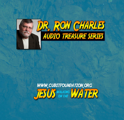 Jesus Walking on Water AUDIO CD