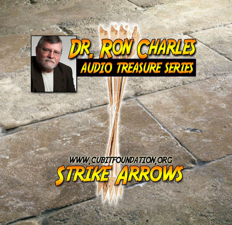 Strike Arrows AUDIO CD